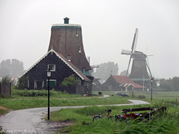 Windmills in the rain at Zaanse Schans