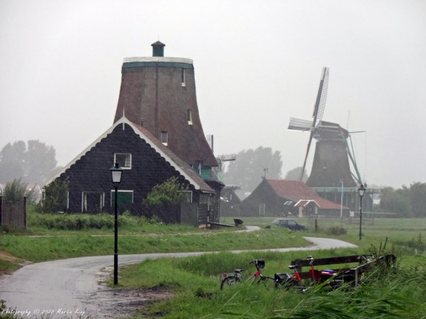Windmills in the rain at Zaanse Schans