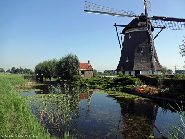 Working windmill on the Rotte River near Zevenhuizen