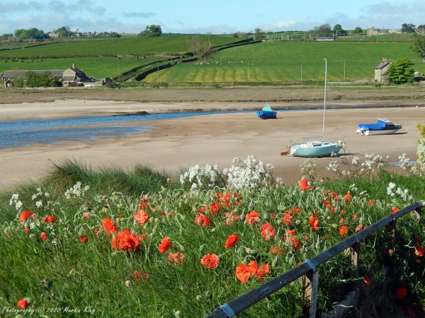 Spring sunshine in Alnmouth