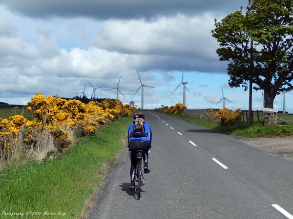 The wind farm on Coldingham Moor