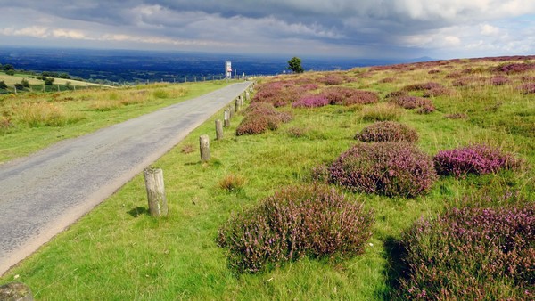 Top of the Long Mynd climb