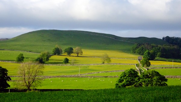 Evening light in the Yorkshire Dales