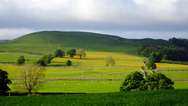 Evening light in the Yorkshire Dales Evening light in the Yorkshire Dales