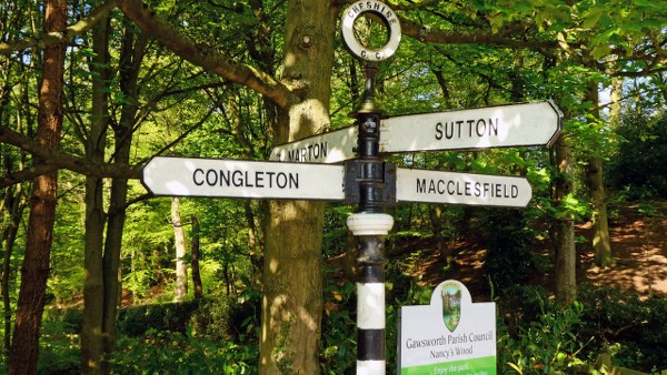 Riding down Maggoty Lane in Nancy's Wood