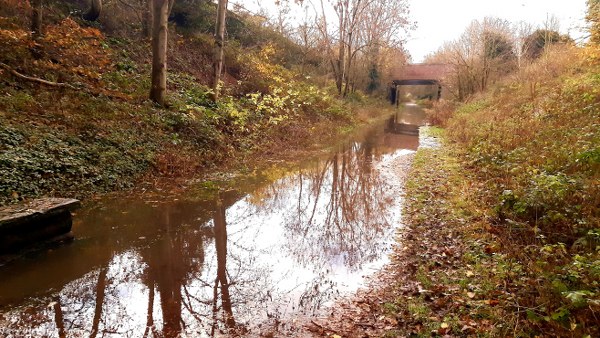 Chester Greenway floods after recent rain