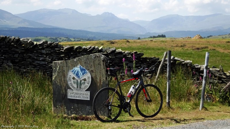 Synapse posing on the moors above Nebo, looking to Snowdonia