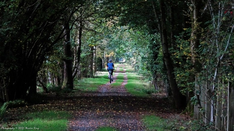 Helen on the riverside section of the Ystwyth Trail, to Llanilar