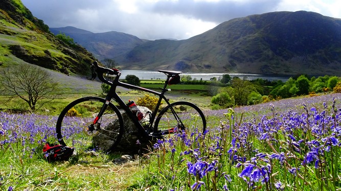 Modelling the new Trek Domane in the Rannerdale bluebells